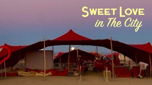 Sweet Love in the City Sweet Love in the City